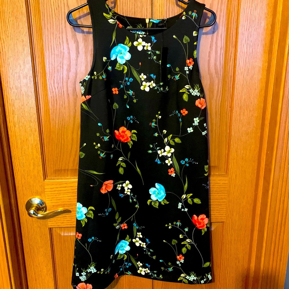 Women’s dress